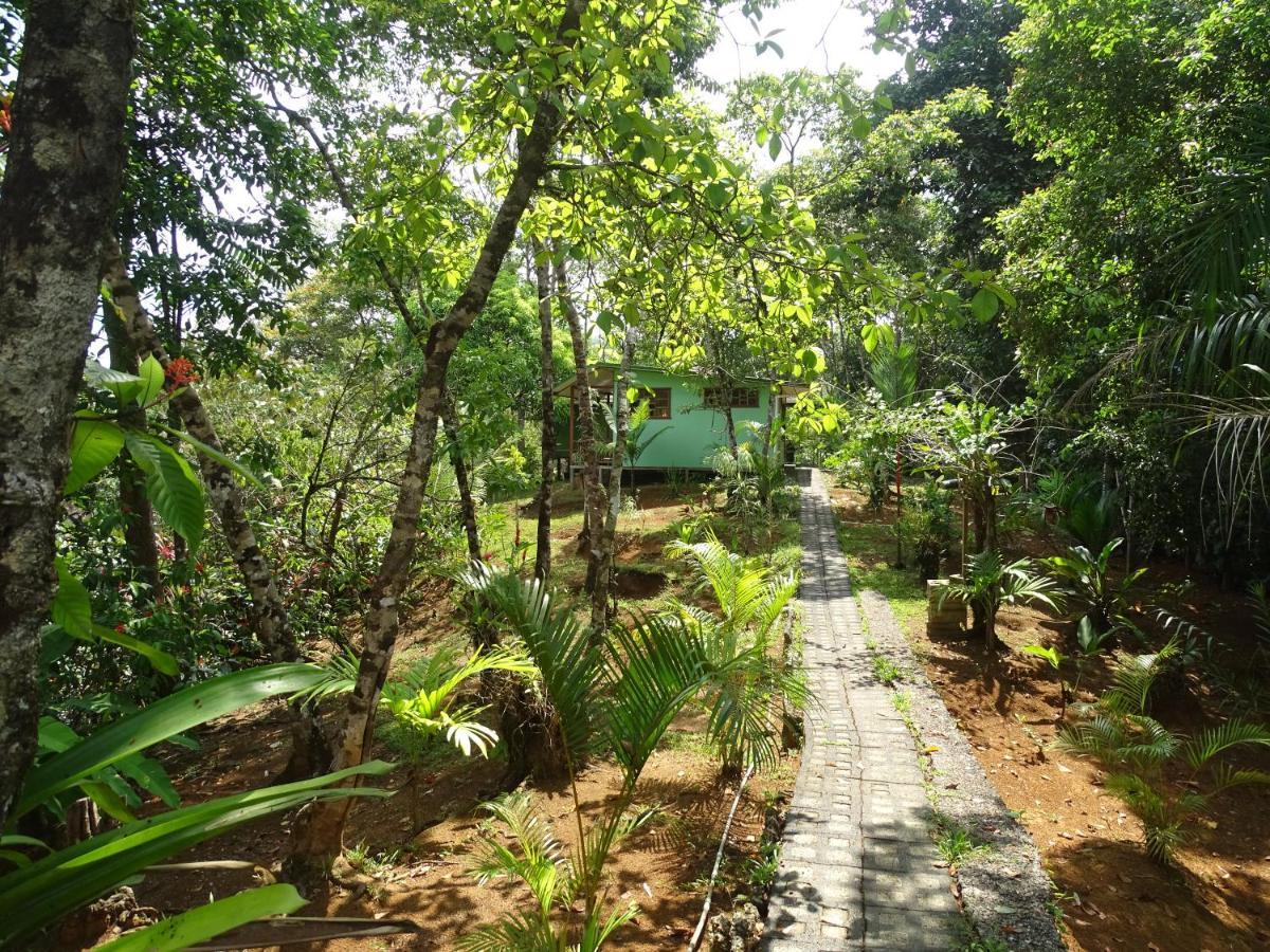 Casa Jade