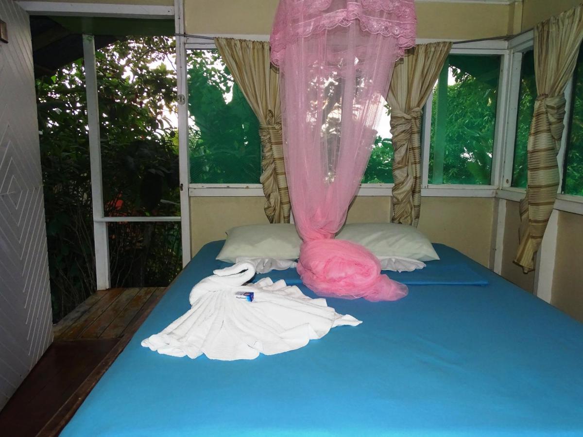 Hostel Casa Jade *